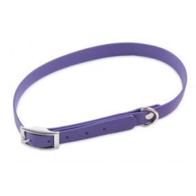 Firedog BioThane nyakörv Basic 19 mm 40-48 cm violet