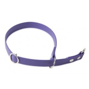 Firedog BioThane nyakörv Sport 19 mm 40 cm violet