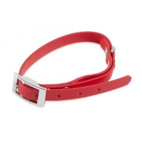 Firedog BioThane nyakörv Basic 25 mm 35-43 cm red