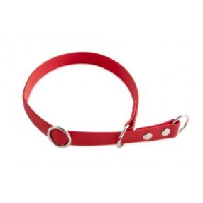 Firedog BioThane nyakörv Sport 25 mm 50 cm red