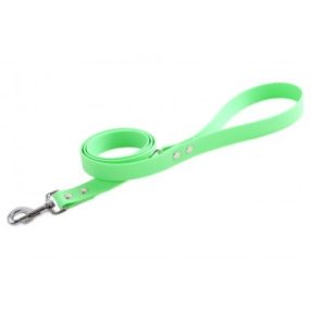   Firedog BioThane póráz 25 mm 1,2 m fogóval & D-ring light green