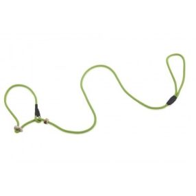   Firedog Moxon retriever póráz Profi 6 mm 130 cm light green dupla agancs stoppal