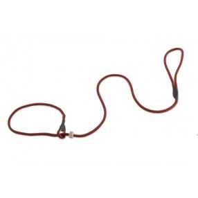   Firedog Moxon retriever póráz Profi 6 mm 150 cm stripes red/black
