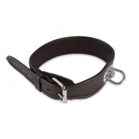 Véreb/utánkereső bőr nyakörv 65 cm brown