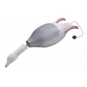 Dokken's Dummy apport Császár lúd (Blue Goose)