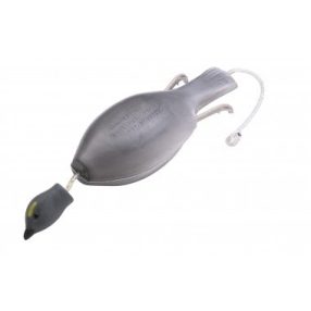 Dokken's Dummy apport Kékfajd (Blue Grouse)