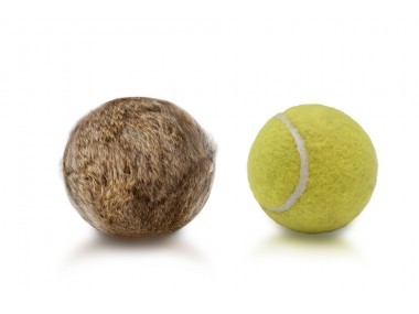Firedog Nyúlszőr Tennis Ball